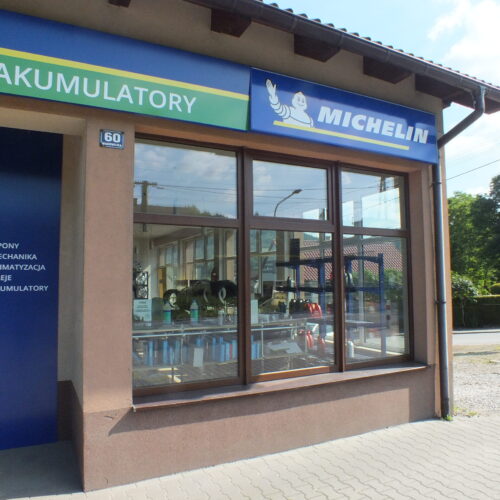 Witryna sklepowa serwisu Euromaster Cezar z logo Michelin i akumulatory